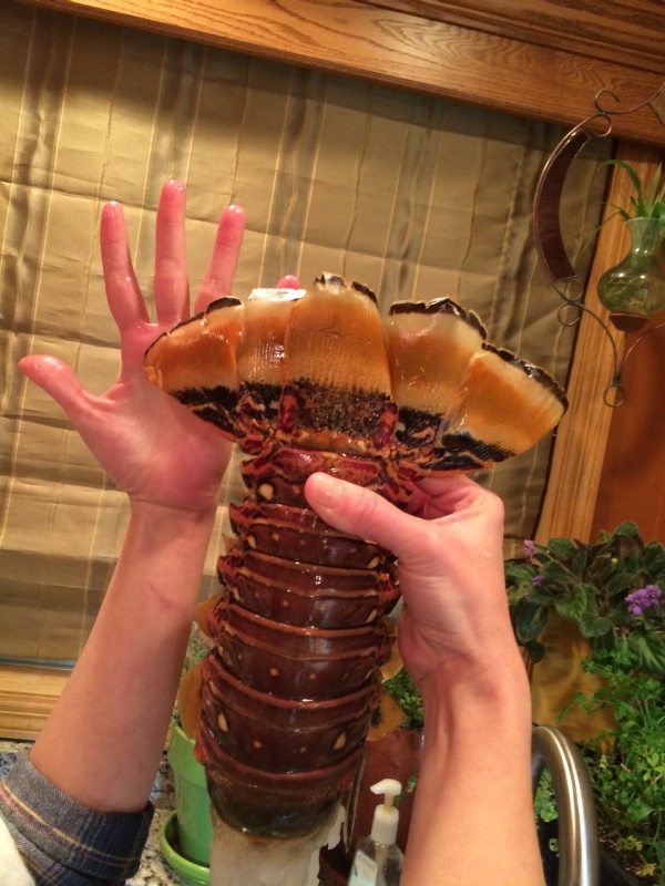 Jumbo Colossal Lobster Chris' Recipes